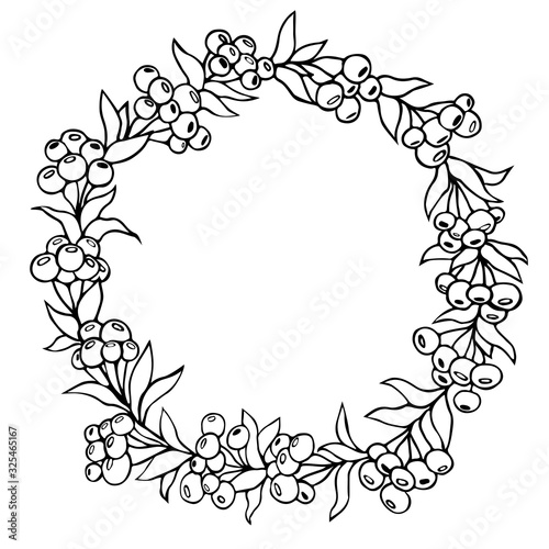 Botanical floral circular frame. Vector hand drawn linear black and white illustration. Circle of berries. Flower graphis tattoo