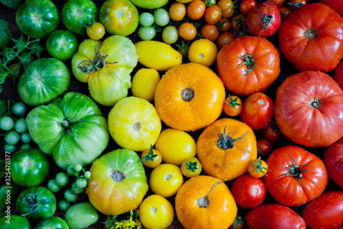 Fresh organic red, yellow and green tomatoes rainbow background