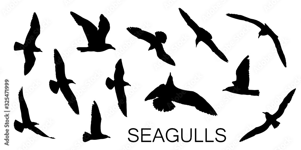 Seagull silhouettes in black, different flying positions. Set of 12 detailed shapes.
