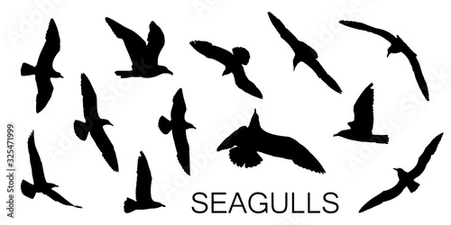 Obraz na płótnie Seagull silhouettes in black, different flying positions. Set of 12 detailed shapes. w salonie