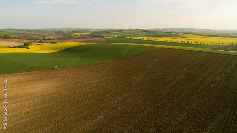 Fototapeta premium Beautiful aerial landscape in Moravia, Czech Republic. Sunrise over rolling hills in Moravia, aerial drone view.