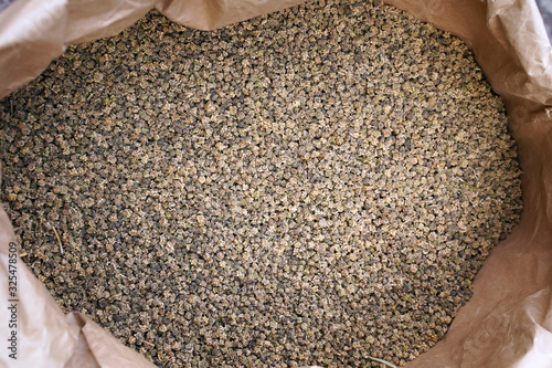 Fotografija Dry selective fodder beet seeds.