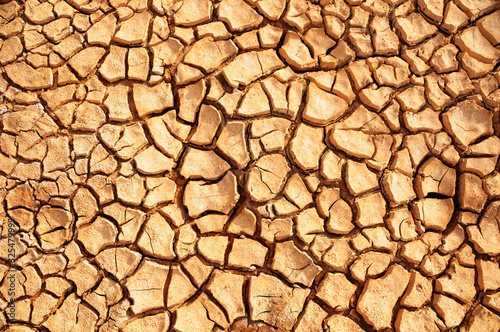 Cracked saltpan surface in the Kalahari Desert