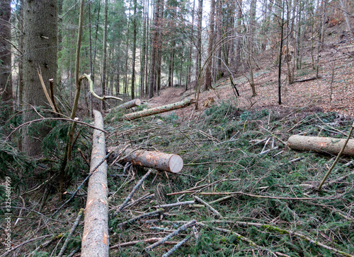 SCHLÄGERUNGSARBEITEN . FORESTRY WORKS photo