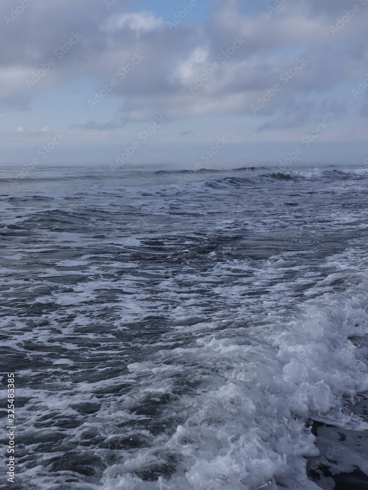 Fototapeta premium waves on the beach