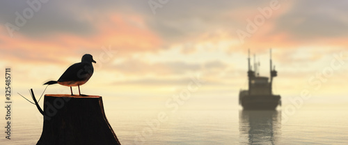 seagull perched on a log