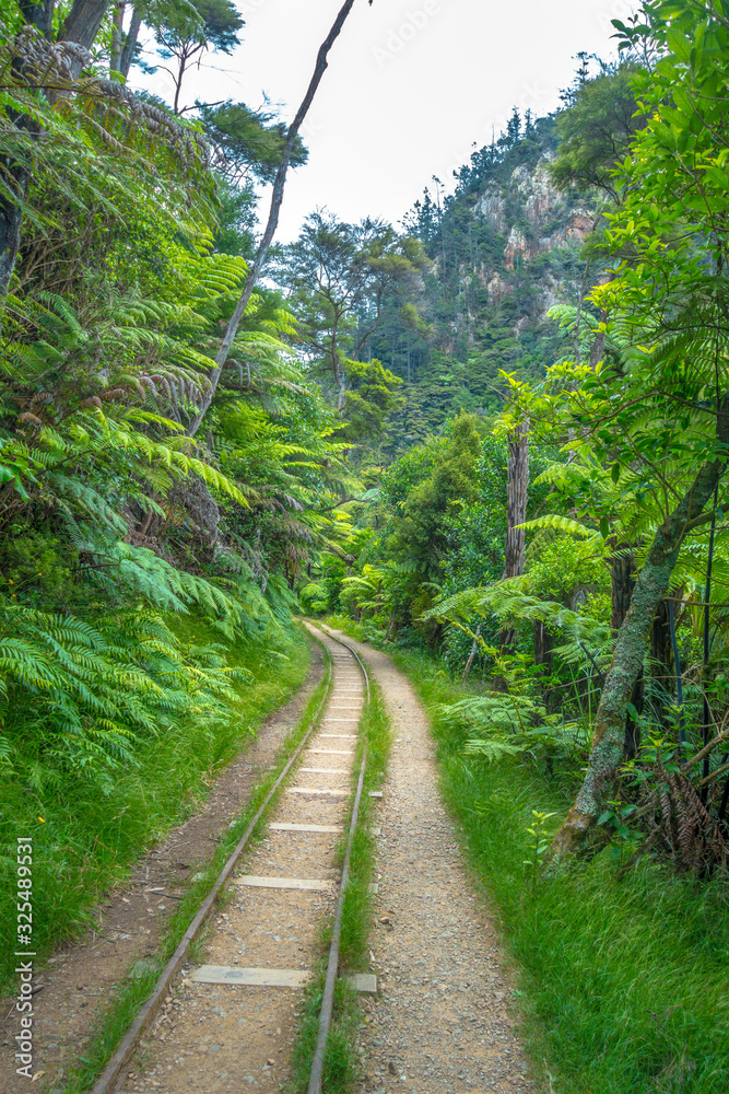 Obraz premium Old mine tracks at Karangahake Gorge, New Zealand