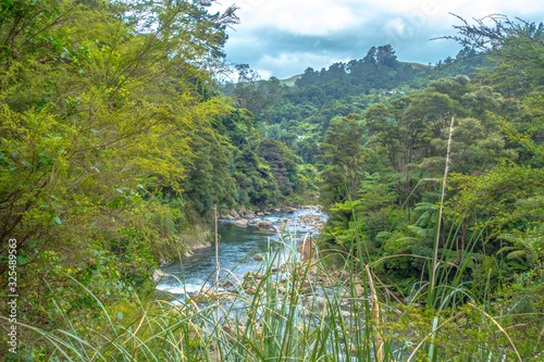 Ohinemuri River seen through bushes at Karangahake Gorge, New Zealand photo