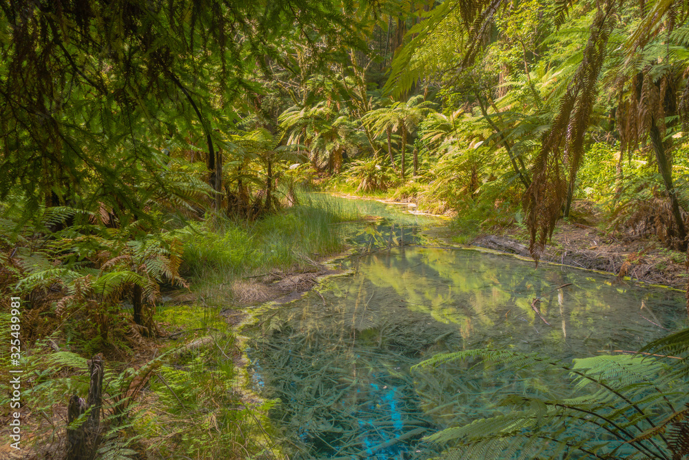 Colorful sulfurous lake in Whakarewarewa Forest, New Zealand