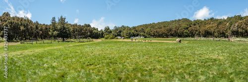 Super wide panorama of Picnic barbecua area in the center of the unique relict forest of National Park surrounded by young green grass. Laguna Grande, La Gomera, Canary Islands