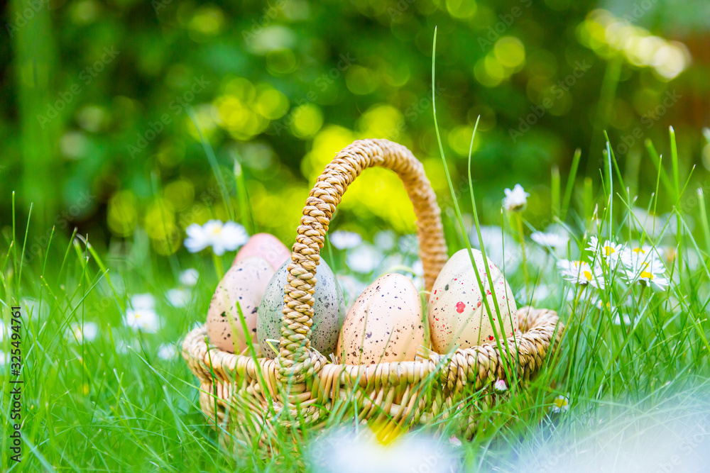 Ostereier in einem Korb auf der Wiese