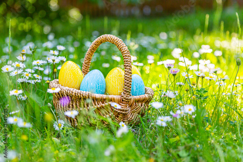bunte Ostereier in einem Korb auf der Wiese