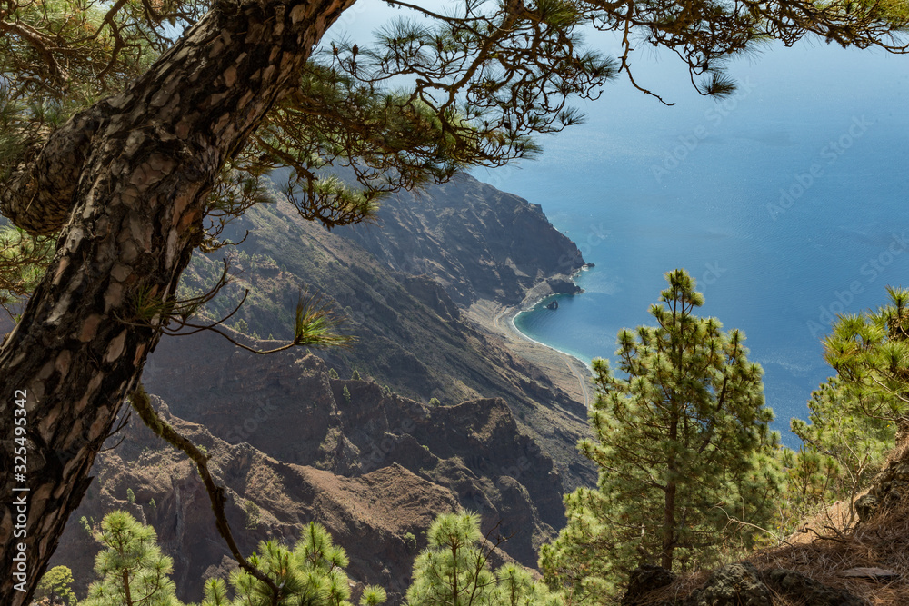 Mirador de Las Playas located in pine tree forest on El Hierro island. Spectacular views from the point above the clouds. Canary islands, Spain Mirador de Las Playas located in pine tree forest on El Hierro island. Spectacular views from the point above the clouds. Canary islands, Spain