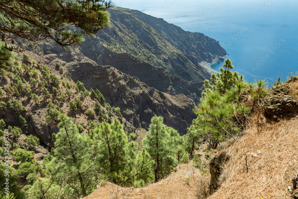 Mirador de Las Playas located in pine tree forest on El Hierro island. Spectacular views from the point above the clouds. Canary islands, Spain