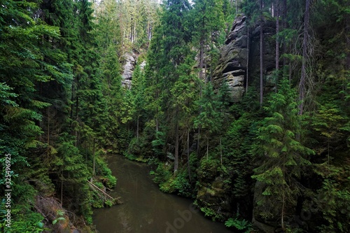 Kirnitzsch river flowing through forest with sandstone rocks photo