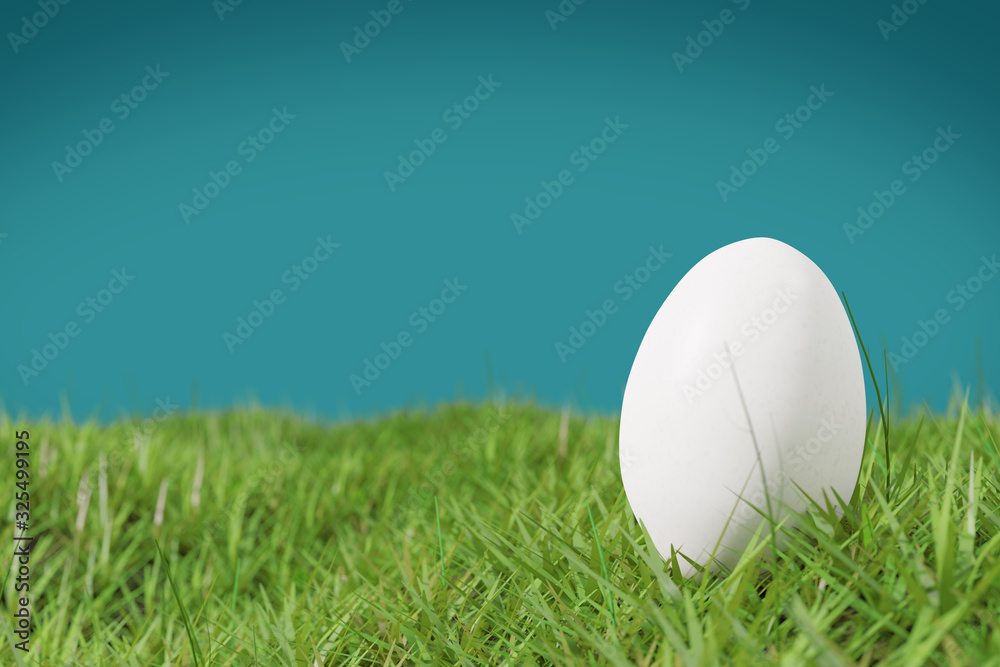 Osterei liegt im Gras als Hintergrund Osterei liegt im Gras als Hintergrund