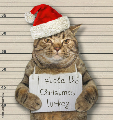 The beige cat in a Santa Claus hat was arrested. It has a sign around its neck that says I stole the Christmas turkey. Lineup background.