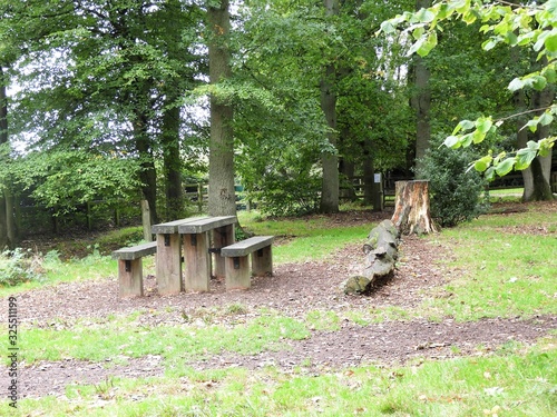 Picnic Table in the Woods at Coombe Hill, Wendover, Buckinghamshire, in The Chilterns