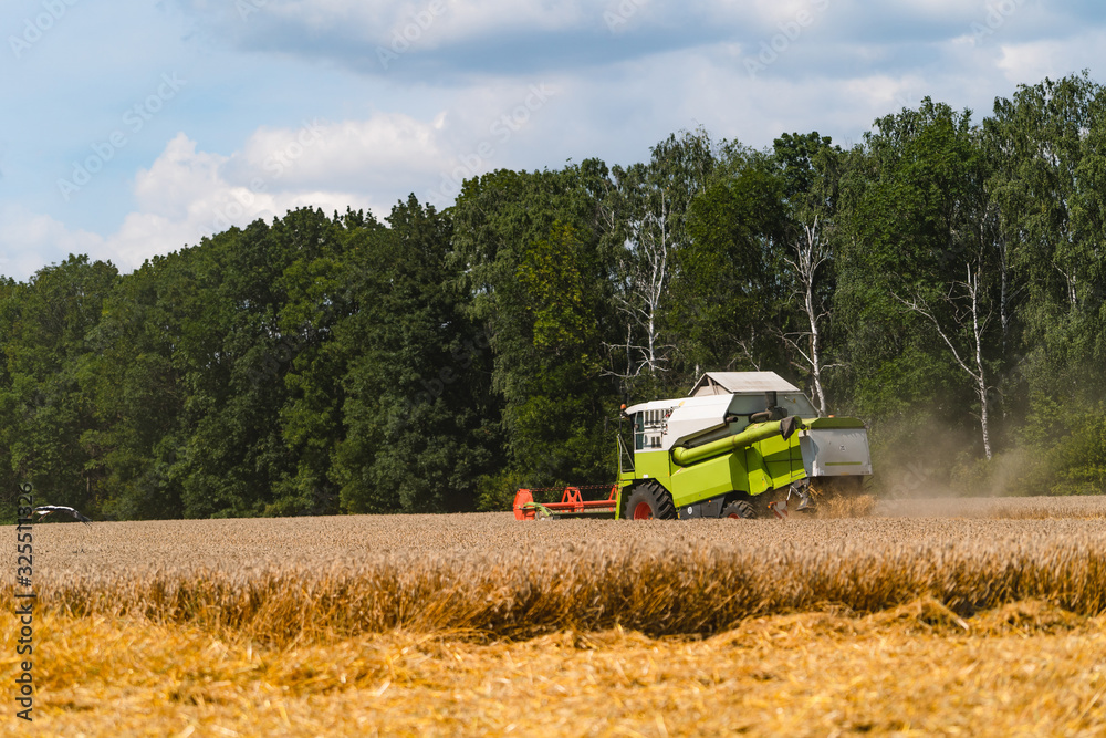 Agriculture machine harvesting crop in fields, Special technic in action. agricultural technic in field. Heavy machinery, blue sky above field.