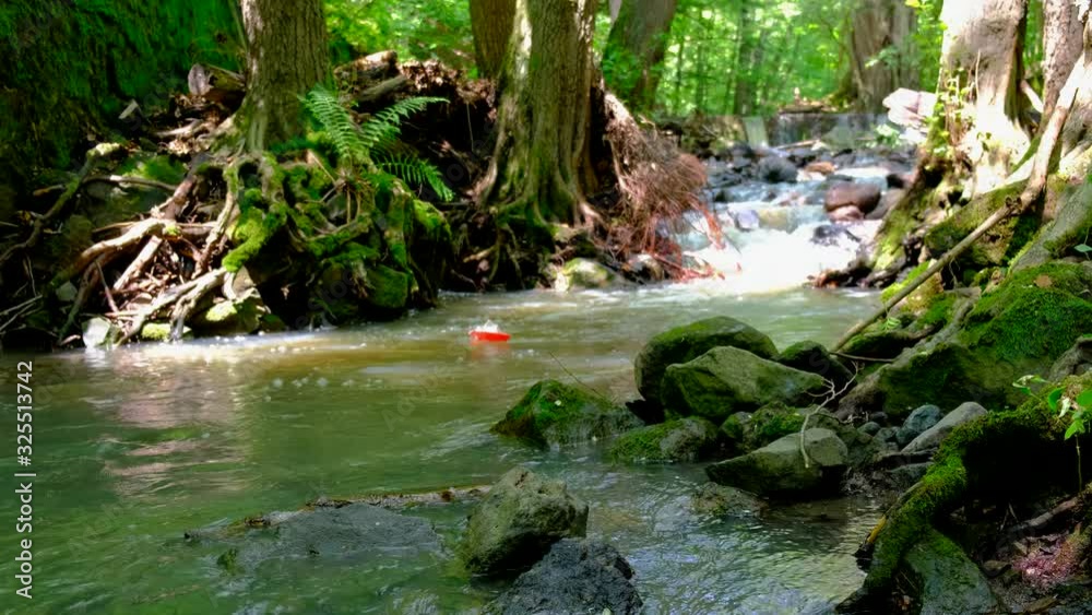 Fast flowing river in a wild area .