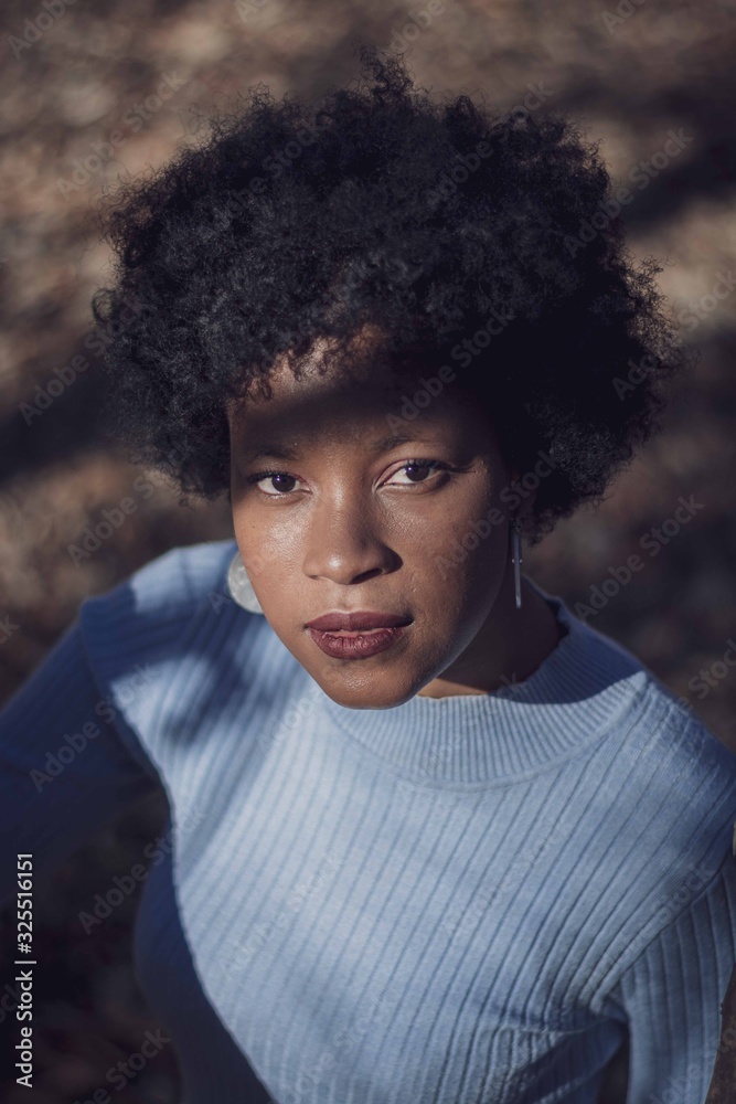 portrait afro girl black african portrait afro girl black african