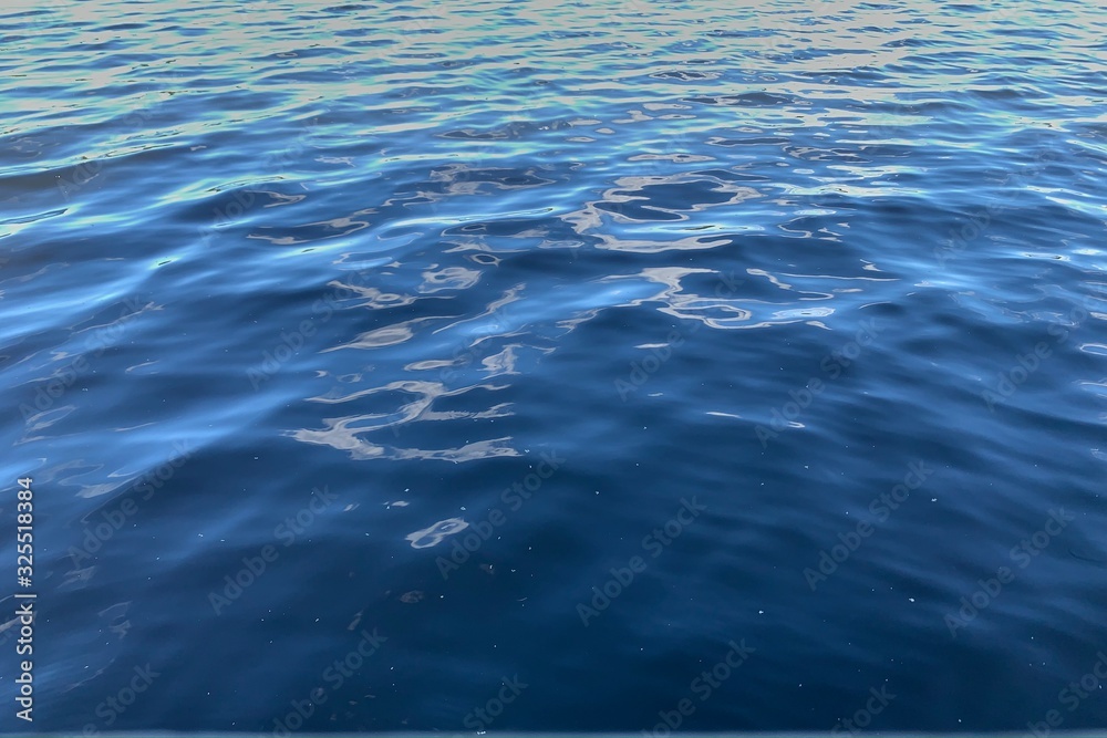 water movement water movement