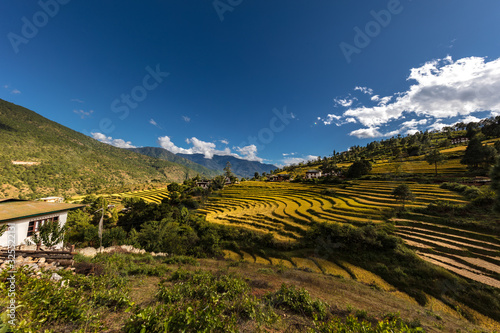Scenic wide angle panorama view over the landscape of Bhutan, Himalaya. Taken around the Punakha Dzong Monastery in Bhutan. Epic landscape with blue sky and some white clouds. country of happy people
