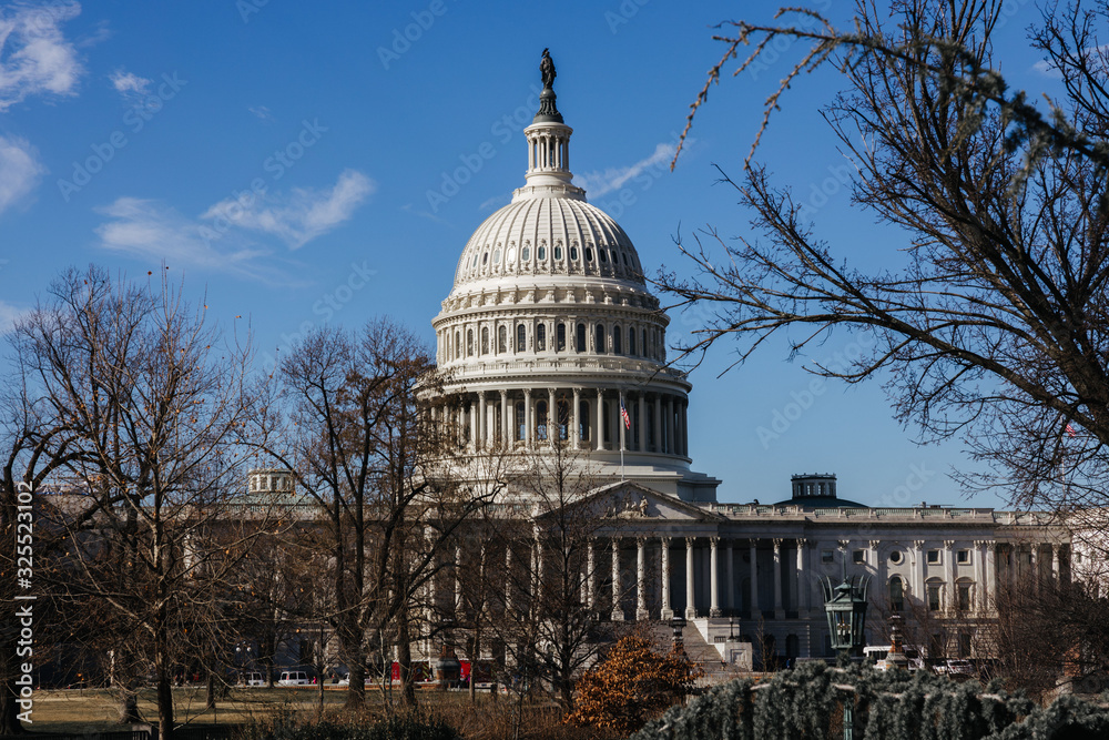 Obraz premium United States Capitol in Washington DC