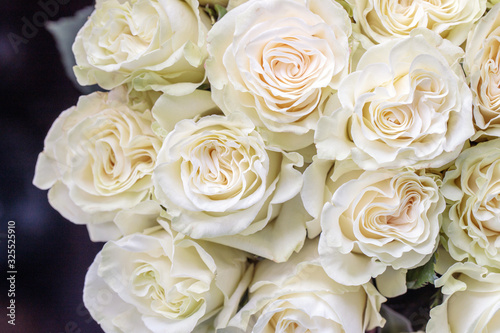 Bouquet of white roses close up