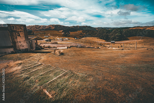 Makara beach natural scenes in Wellington, New Zealand photo