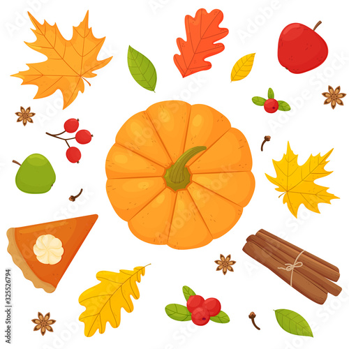 vector set pumpkin apple pumpkin pie cinnamon cranberry clove star anise and autumn leaves