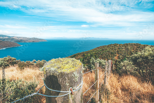 Makara beach natural scenes in Wellington, New Zealand photo