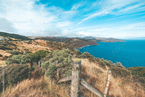 Makara beach natural scenes in Wellington, New Zealand photo