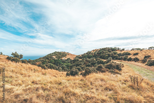 Makara beach natural scenes in Wellington, New Zealand