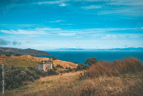 Makara beach natural scenes in Wellington, New Zealand photo