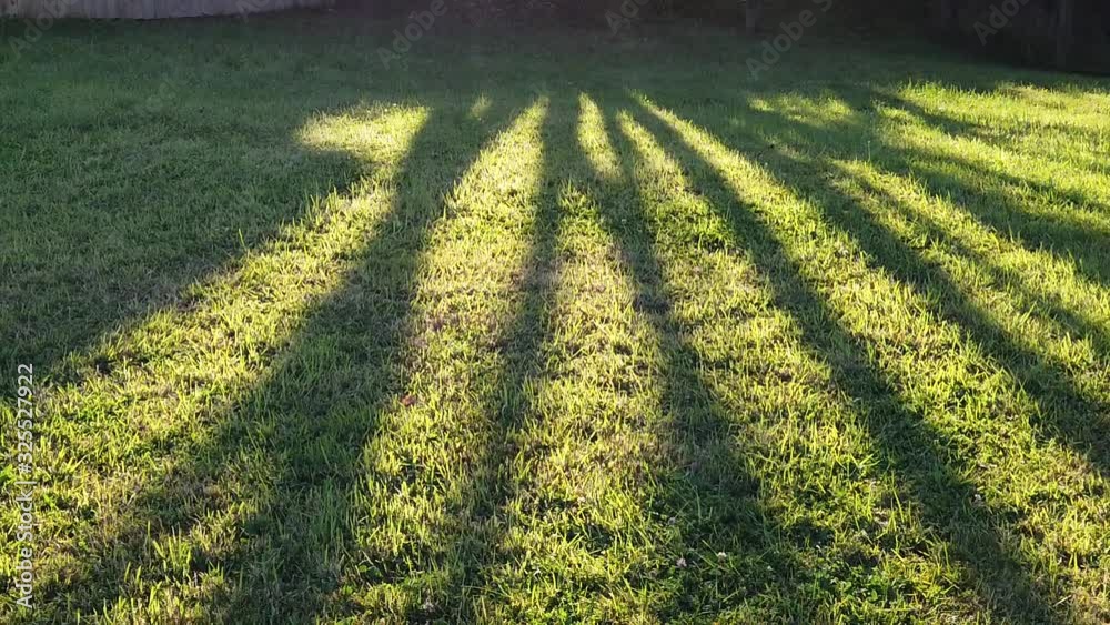 Sunset Nature Background ; Slow motion Sunset Nature Background ; Slow motion