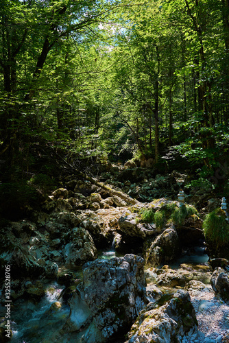 Mountain watercourse in Austria.  Salzkammergut region