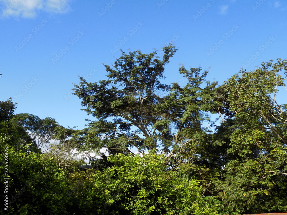 Céu Céu