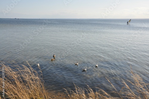 Ciepły, letni wieczór nad Zatoką Pucką, Hel, Polska photo