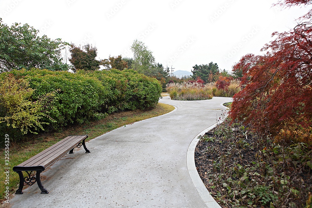 Fototapeta premium 시흥갯골생태공원입니다