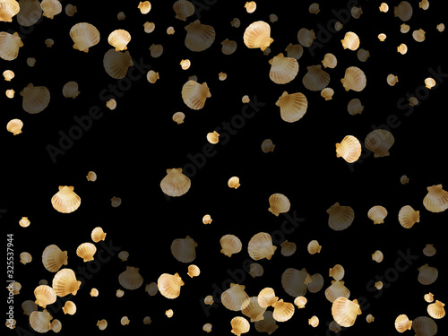 Gold seashells vector, golden pearl bivalved mollusks. 