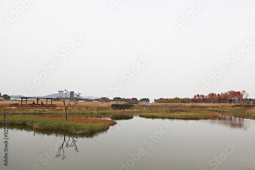 시흥갯골생태공원입니다