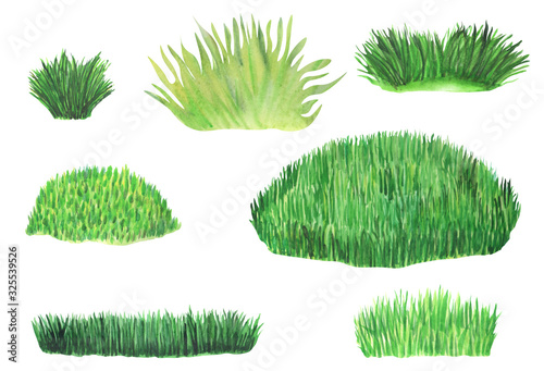 Canvas Print Bushes of green grass on a white background in watercolor
