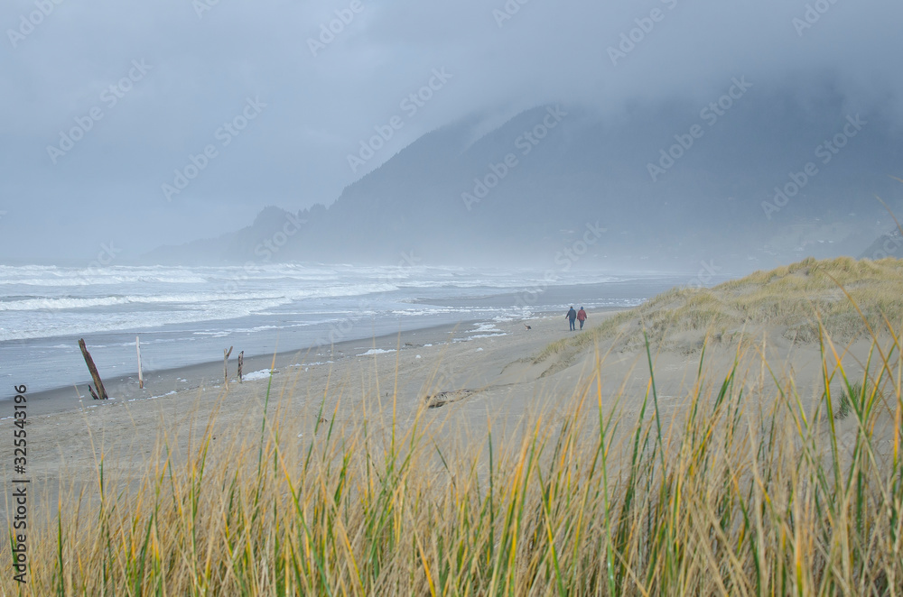 Walking out on the cold mist covered oregon coast line in the winter season. 
