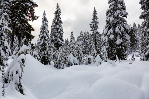 Canadian Nature Landscape covered in fresh white Snow during winter. Taken in Seymour Mountain, North Vancouver, British Columbia, Canada. Panorama