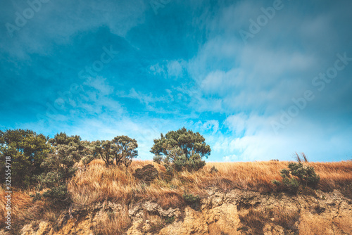 Landscape of Makara Beach in Wellington, New Zealand  photo