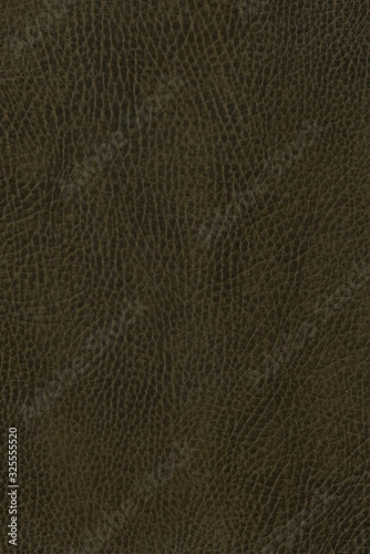 Wallpaper Mural vintage Italian leather texture brown background, hi res aged leather detail overlay for graphic design Torontodigital.ca