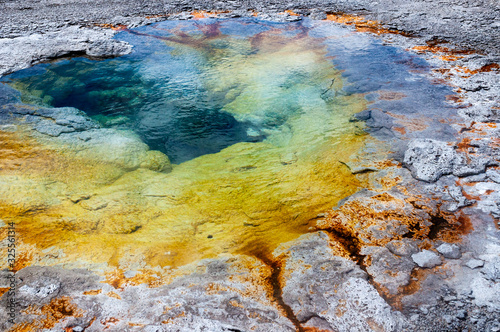 Morning Glory thermal pool Yellowstone