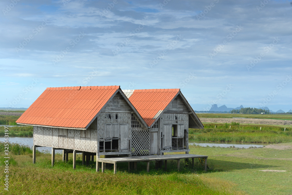 An abandoned house in a green grass field