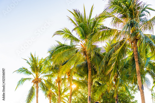 Beautiful tropical palm tree around beach sea ocean at sunset or sunrise